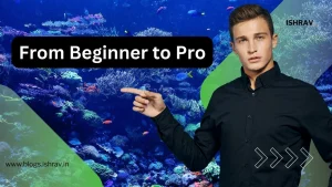 From Beginner to Pro: What Is a Planted Aquarium and How to Master This Art Form